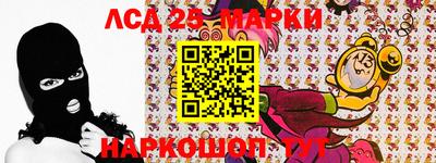 шишки Аргун