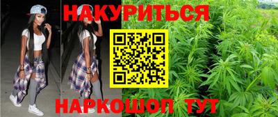 шишки Аргун