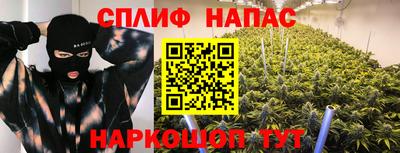 шишки Аргун