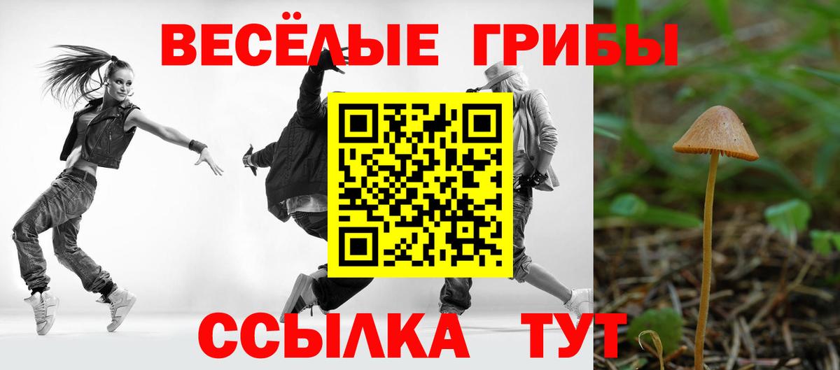 Псилоцибиновые грибы мухоморы Березники