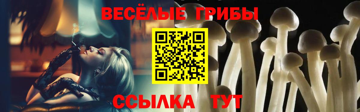 даркнет сайт  Галлюциногенные грибы мицелий  Вход с VPN  Березники 
